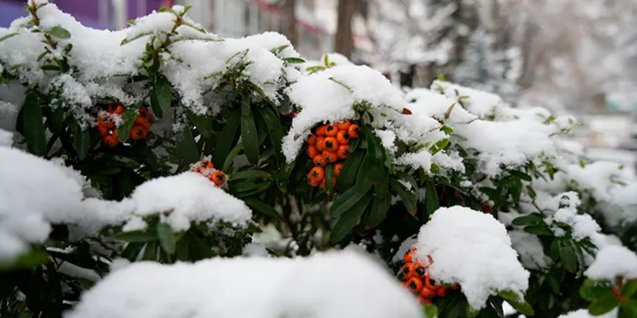 Gümüşhane'de kent merkezi beyaza büründü