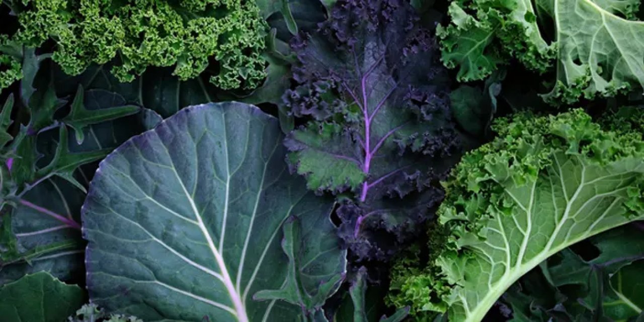 Trabzon'un bereketli toprakları! Trabzon'da en çok ne yetişir?