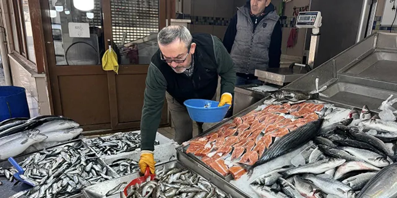 Sinop'ta balıkçılar dertli! Yüzde 50 oranında düştü