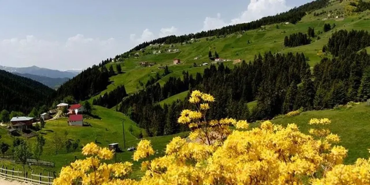 Trabzon'un az bilinen tarihi yerleri nerelerdir? Trabzon'un gizli tarihi