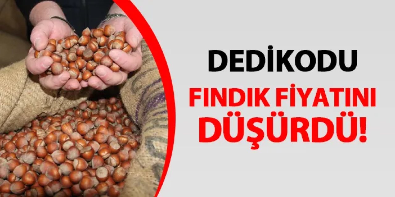 Dedikodu çıktı! Fındık fiyatı düştü