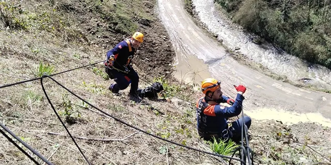 Giresun'da uçurumdan düşen köpek kurtarıldı