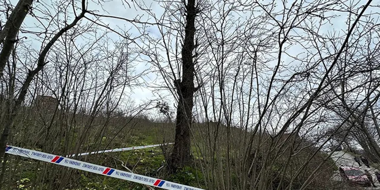 Ağaçtan düştü boynu kırıldı