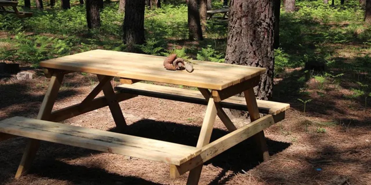 Trabzon'da piknik yapılacak yerler nereler? Trabzon'da piknik alanları