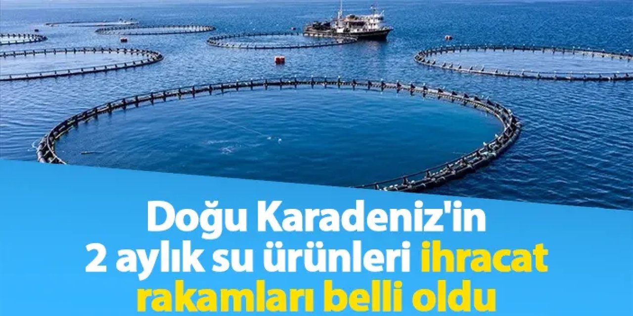 Doğu Karadeniz'in 2 aylık su ürünleri ihracat rakamları belli oldu