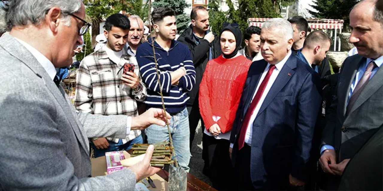 Trabzon'da 'Dünya Ormancılık Günü'nde fidan aşılama etkinliği