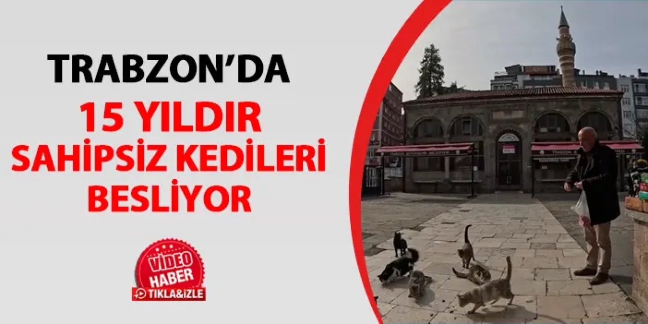 Trabzon'da 15 yıldır sahipsiz kedileri besliyor
