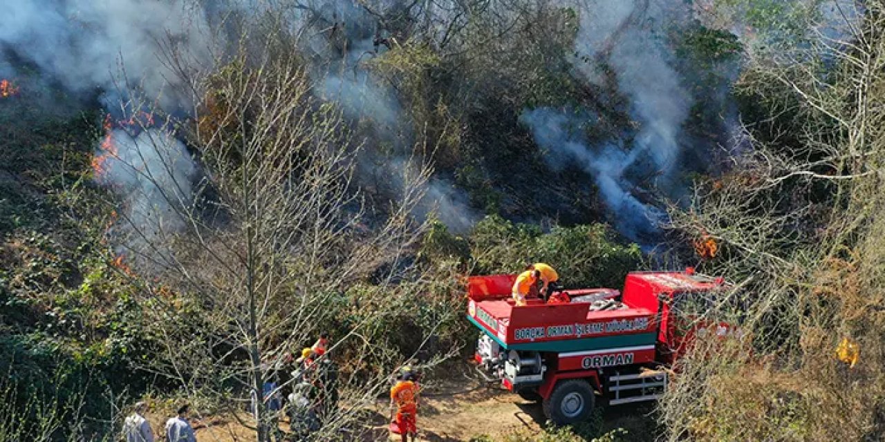 Artvin'de yangın çıktı! 1 kişi gözaltına alındı