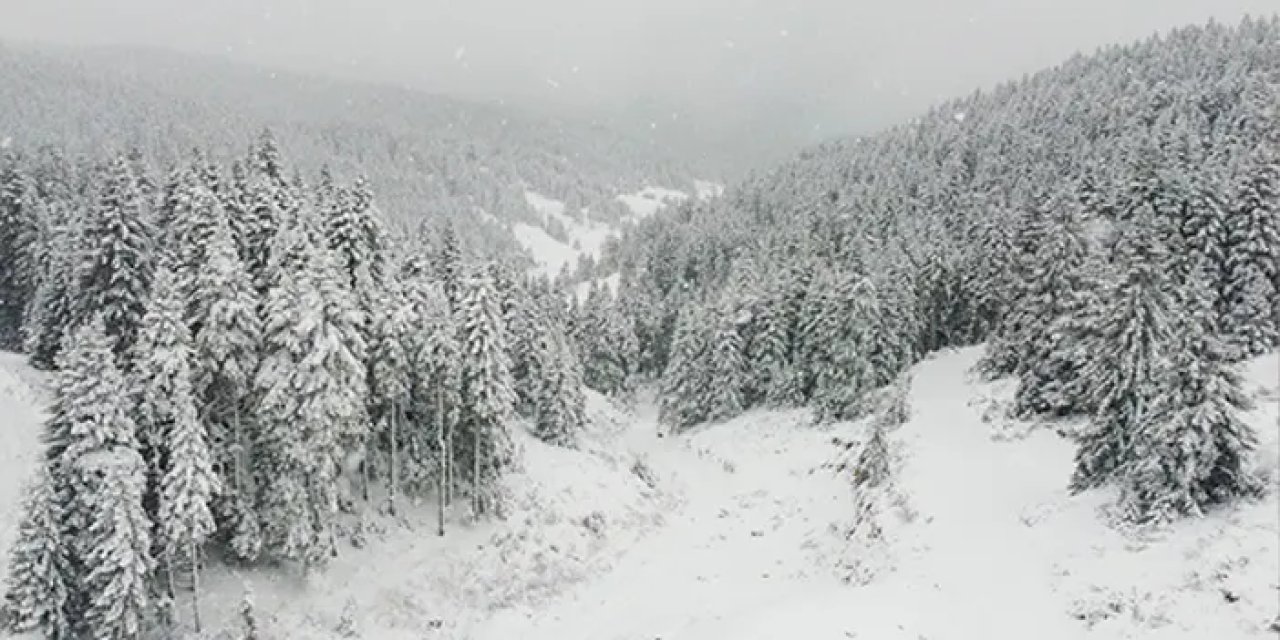 Doğu Karadeniz için önemli uyarı! "Dikkatli olun"