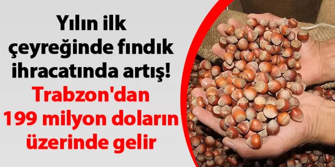 Yılın ilk çeyreğinde fındık ihracatında artış! Trabzon'dan 199 milyon doların üzerinde gelir