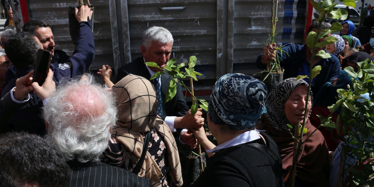 Of'ta 20 bin fidan vatandaşlara dağıtıldı