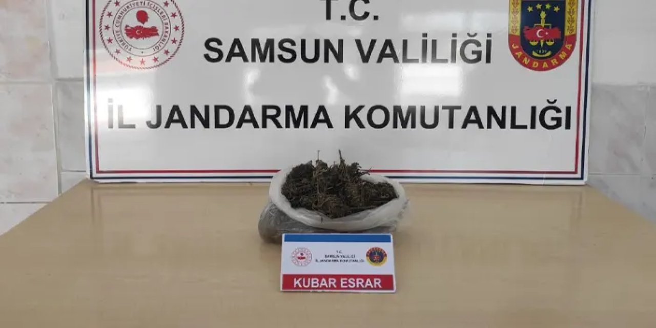 Samsun'da jandarmadan operasyon! 1 kişiye gözaltı