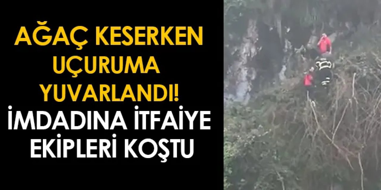 Giresun'da ağaç keserken uçuruma yuvarlandı