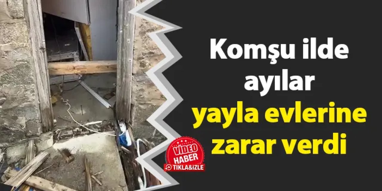 Komşu ilde ayılar yayla evlerine zarar verdi
