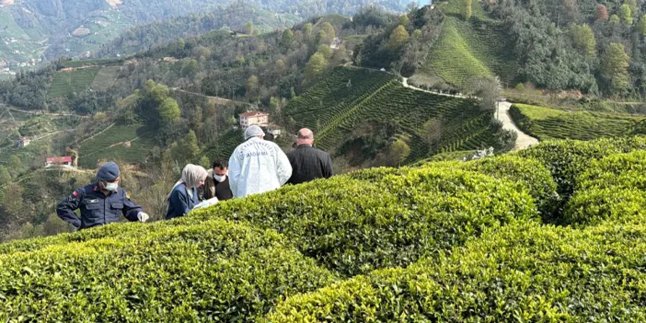 Çay bahçesinde gübreleme yapıyordu! Karşılaştığı ceset ile şoka uğradı