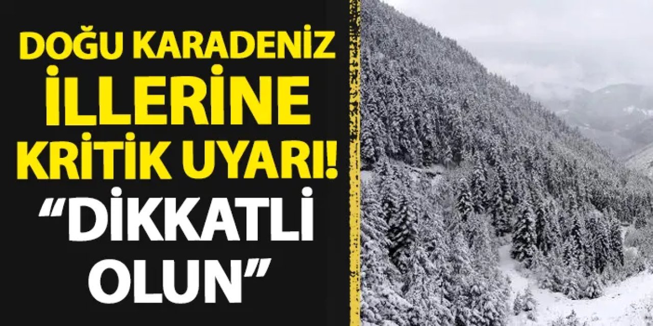 Doğu Karadeniz illerine önemli uyarı geldi! "Dikkatli olun"