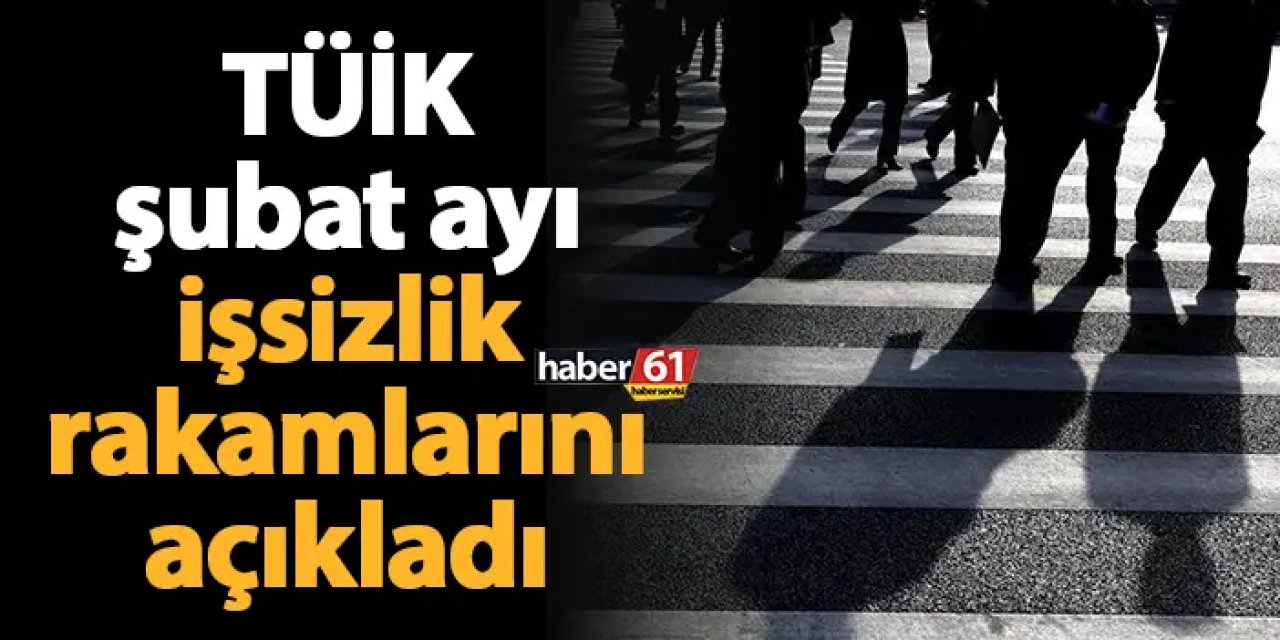 TÜİK şubat ayı işsizlik rakamlarını açıkladı