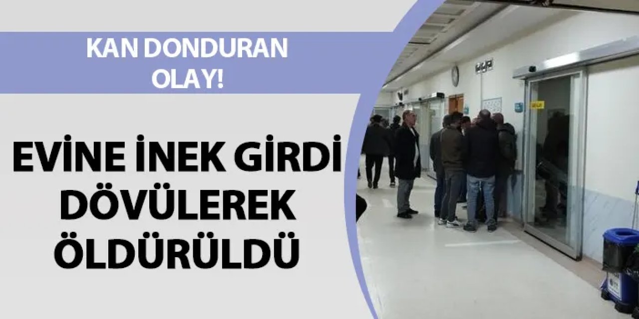 Kan donduran olay! Evine inek girdi, dövülerek öldürüldü