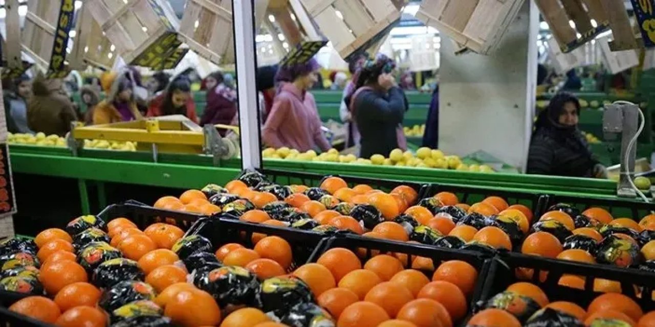 Türkiye Tarım Sektörü, 2023'ün İlk Çeyreğinde 9,3 Milyar Dolarlık Rekor İhracat Gerçekleştirdi