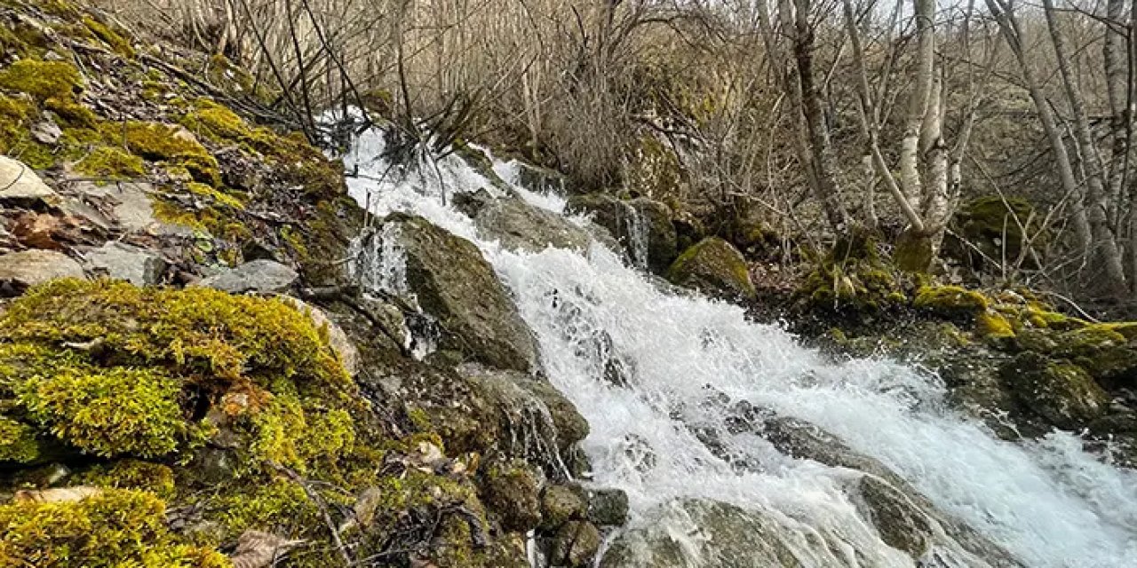 Gümüşhane'de bulunuyorlar! 2 ay akıp kayboluyorlar