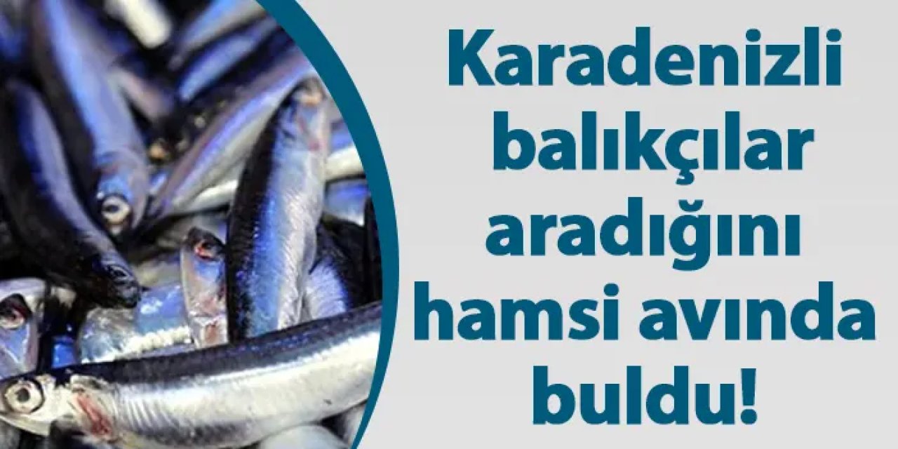 Karadenizli balıkçılar aradığını hamsi avında buldu!