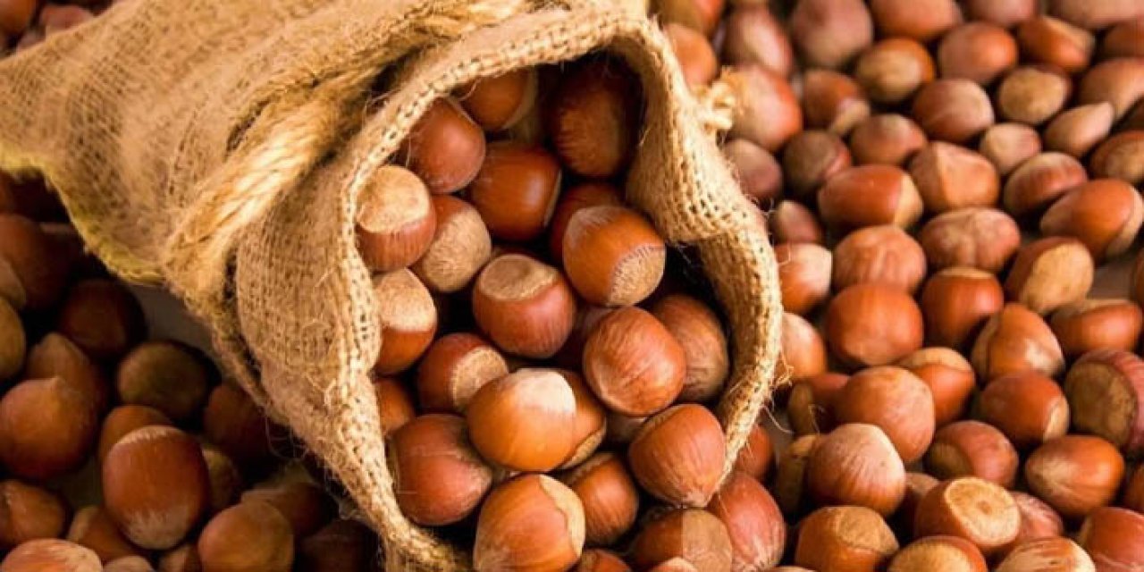 Trabzon'da fındık fiyatı ne kadar? Fındıkta artış sürecek mi?