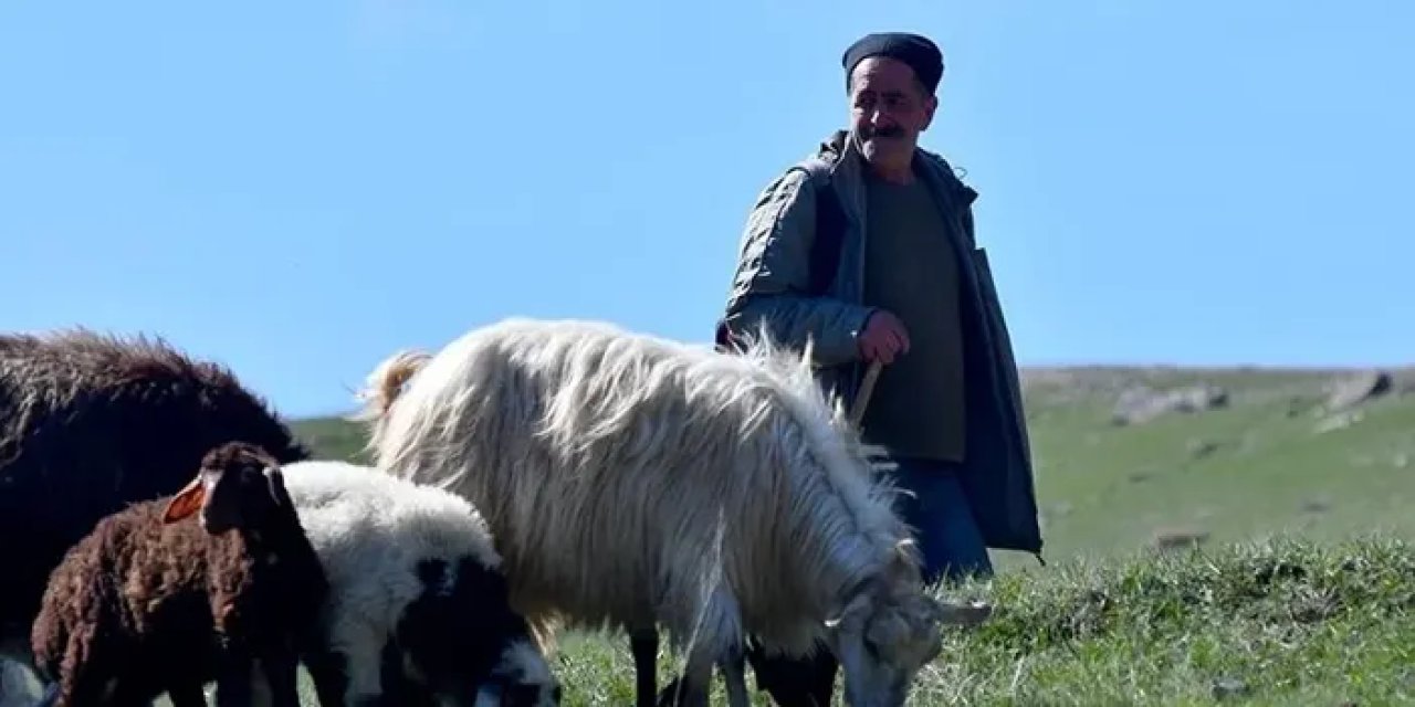 Kars Sarıkamış'ta Baharla Birlikte Meralar Canlandı