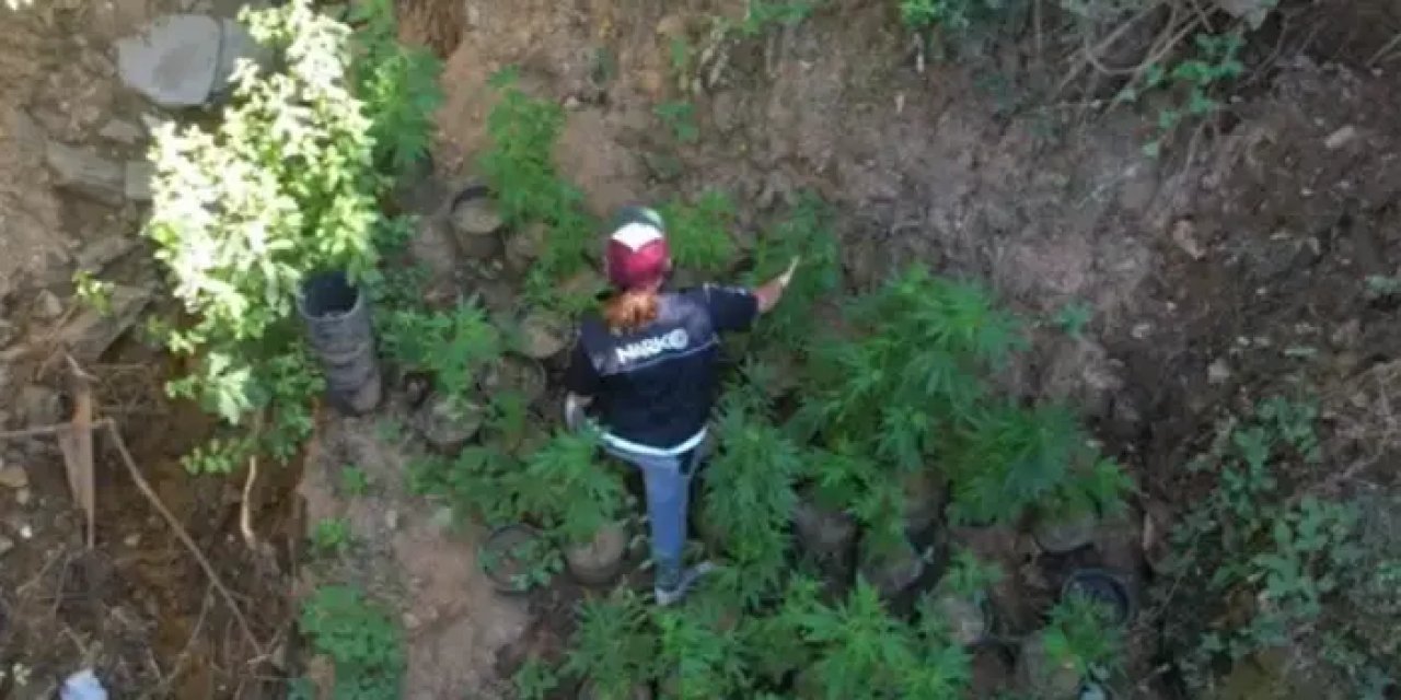 İzmir'de uyuşturucu sevkiyatına operasyon! Dron taramasında fark edildiler