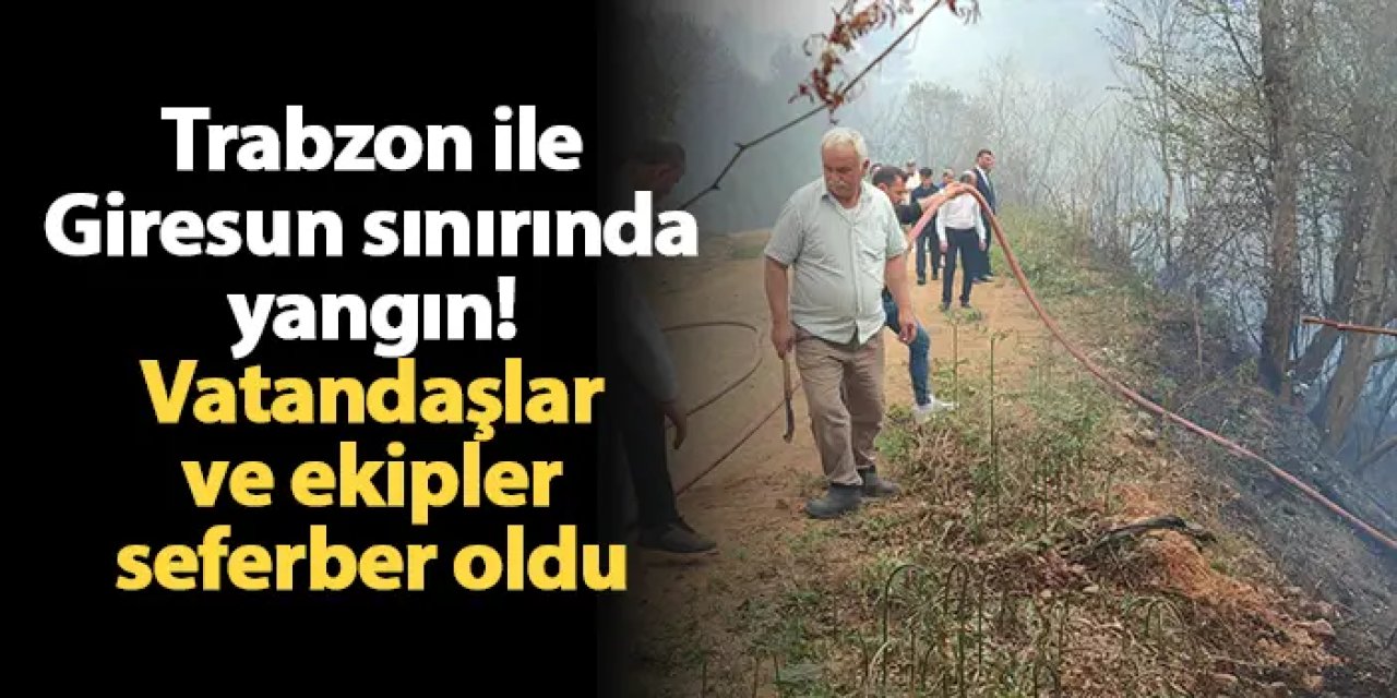 Trabzon ile Giresun sınırında yangın! Vatandaşlar ve ekipler seferber oldu