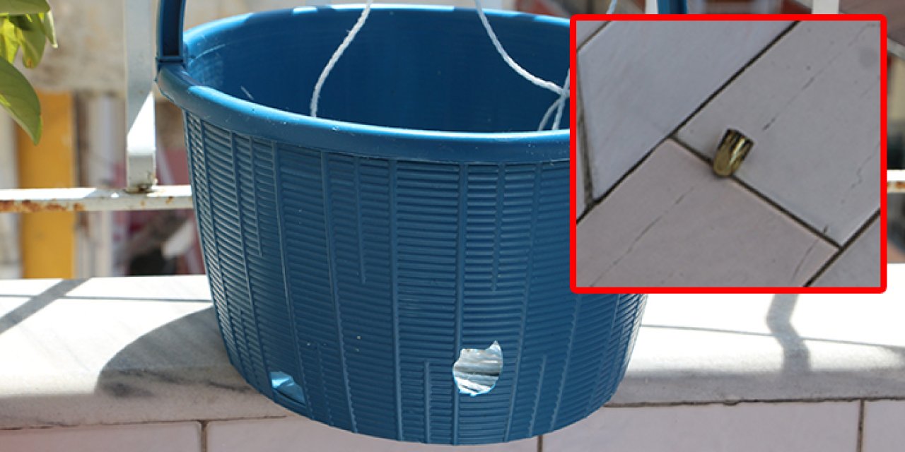 Rize'de magandalığın bu kadarı! Balkondaki sepete nişan almışlar