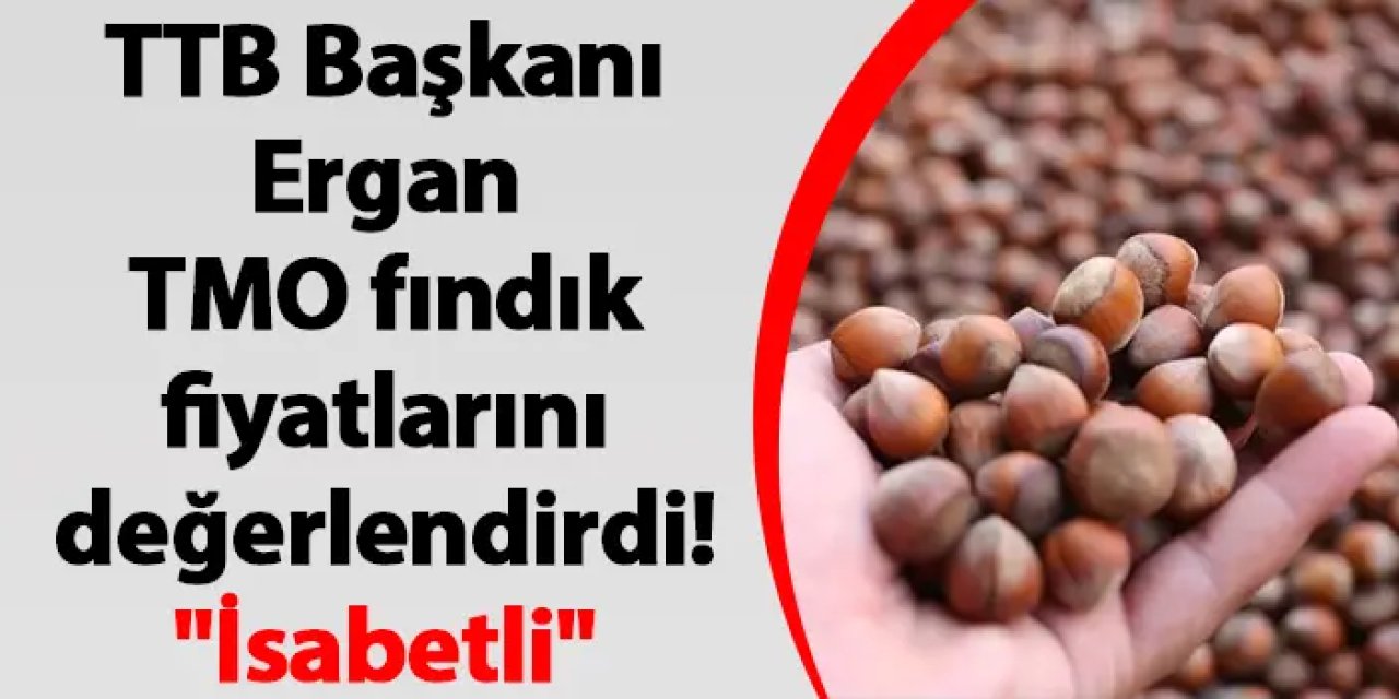 TTB Başkanı Ergan TMO fındık fiyatlarını değerlendirdi! "İsabetli"