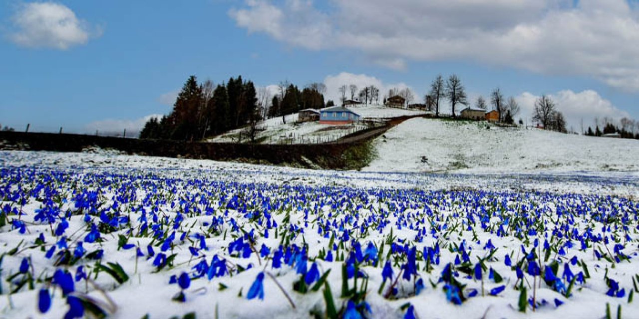 Kadıralak Yaylası nerede ve nasıl gidilir? Trabzon'a kaç kilometre? Çiçek zamanı ne zaman?