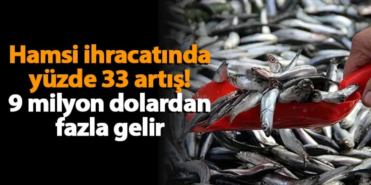 Hamsi ihracatında yüzde 33 artış! 9 milyon dolardan fazla gelir