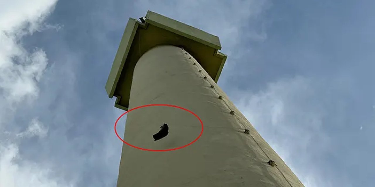 Samsun'da minarede asılı kalan güvercini itfaiye kurtardı