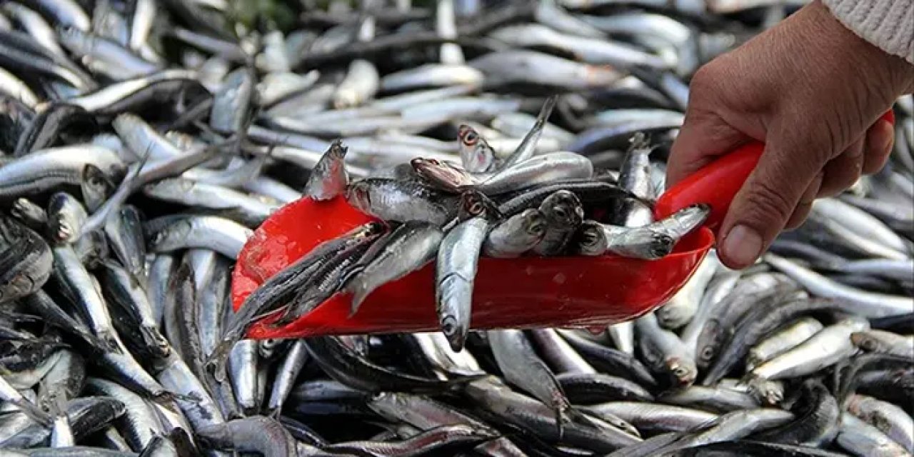 Trabzon'un yöresel ürünleri Ankara'da vatandaşlarla buluşacak