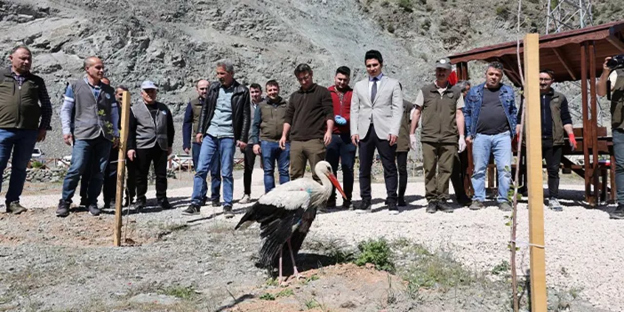 Artvin'de tedavi edilen leylek doğaya salındı
