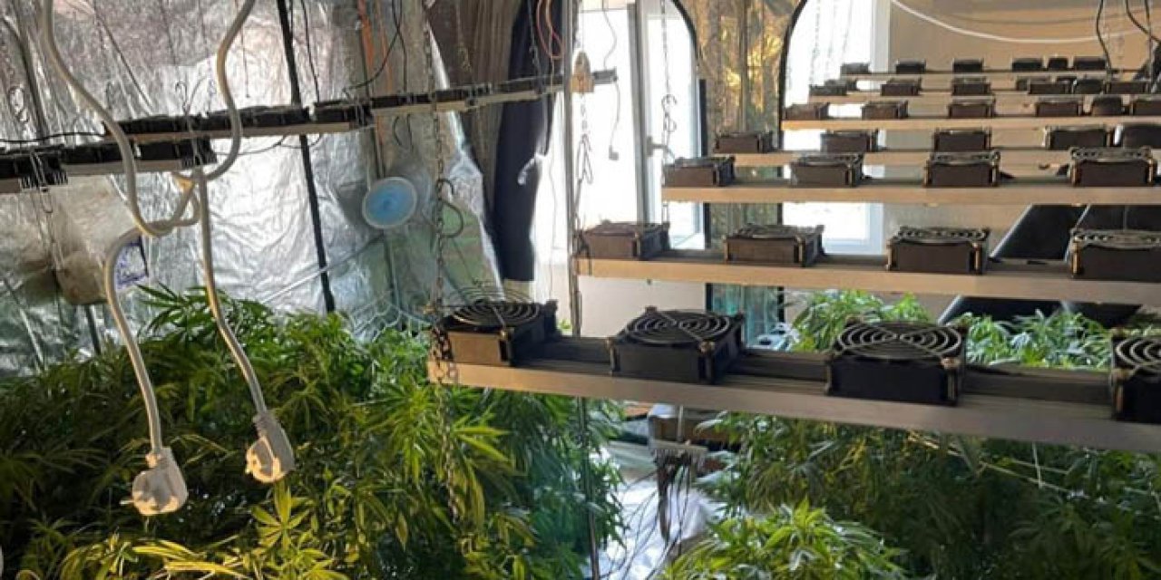 Bu kadarına pes! Denizli'de evini uyuşturucu serasına çevirmiş