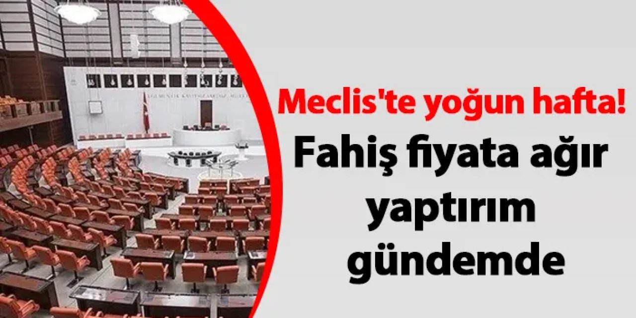 Meclis'te yoğun hafta! Fahiş fiyata ağır yaptırım gündemde