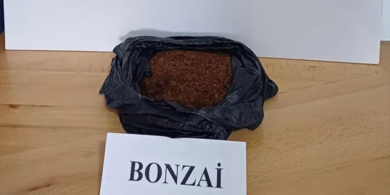 Samsun'da emniyetten büyük operasyon! 10 şahıs yakalandı