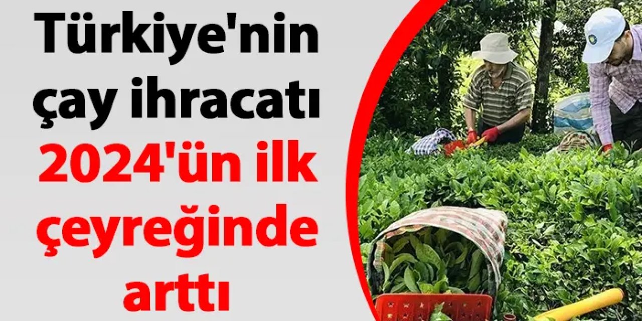 Türkiye'nin çay ihracatı 2024'ün ilk çeyreğinde arttı