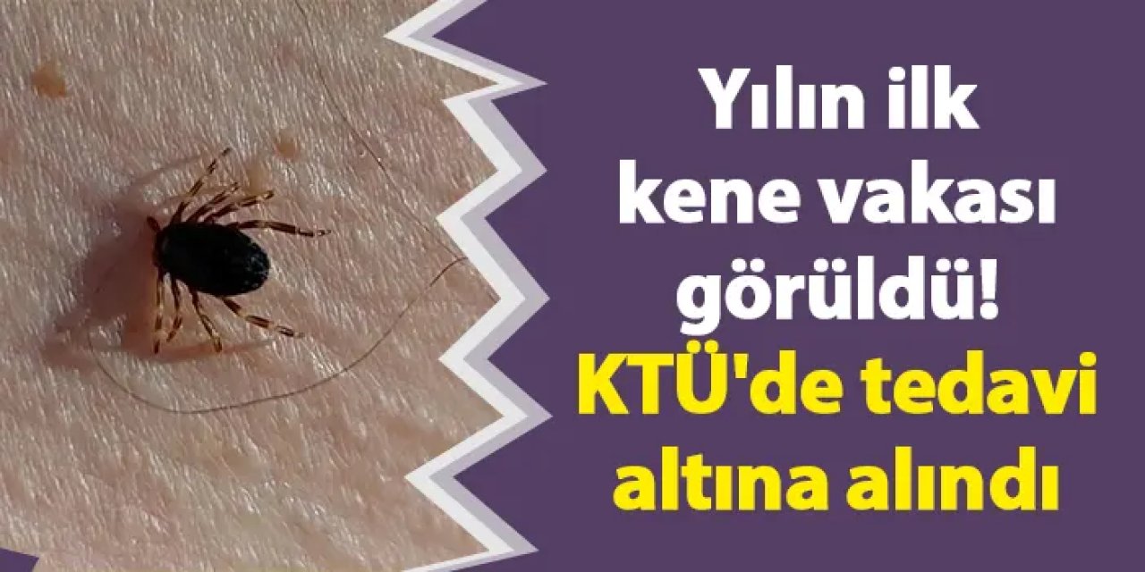 Yılın ilk kene vakası görüldü! KTÜ'de tedavi altına alındı