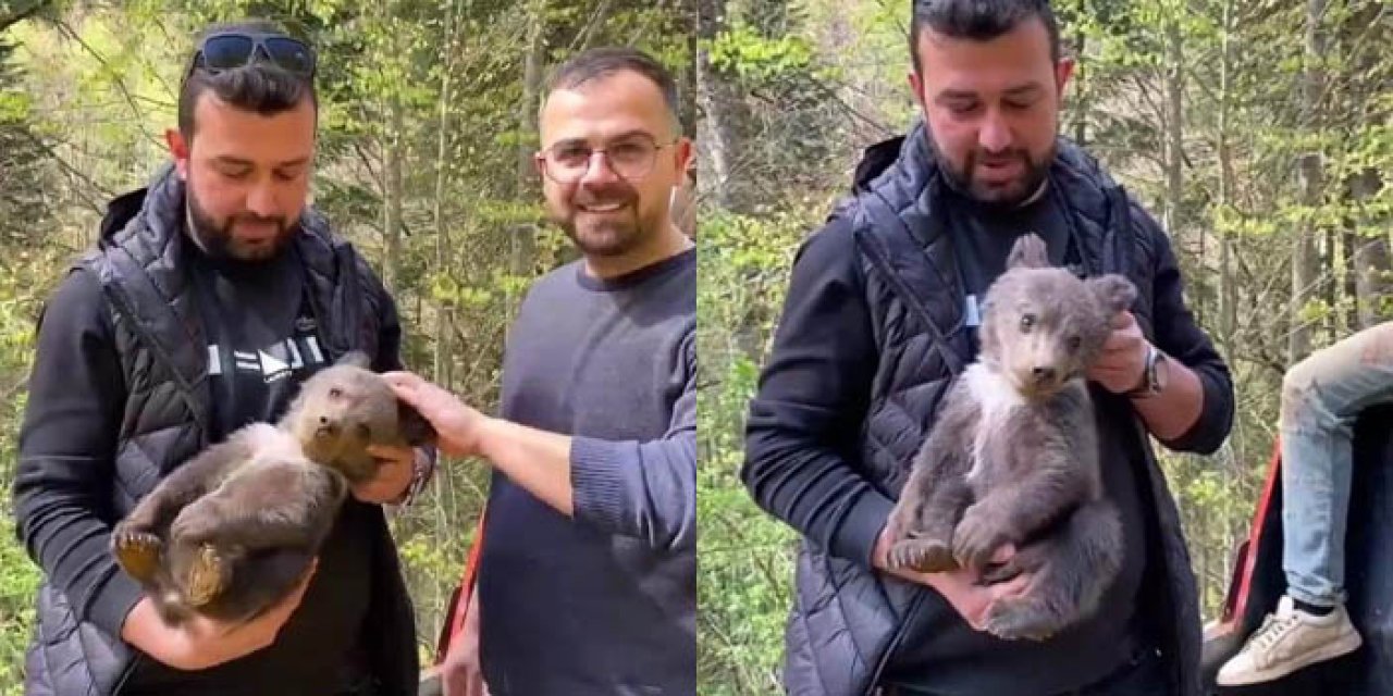 Bursa'da yavru ayı mahallenin maskotu oldu