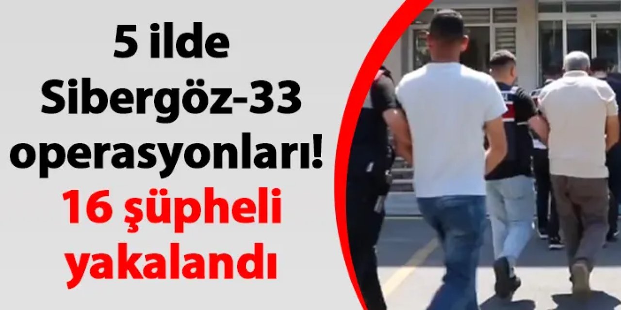 5 ilde Sibergöz-33 operasyonları! 16 şüpheli yakalandı