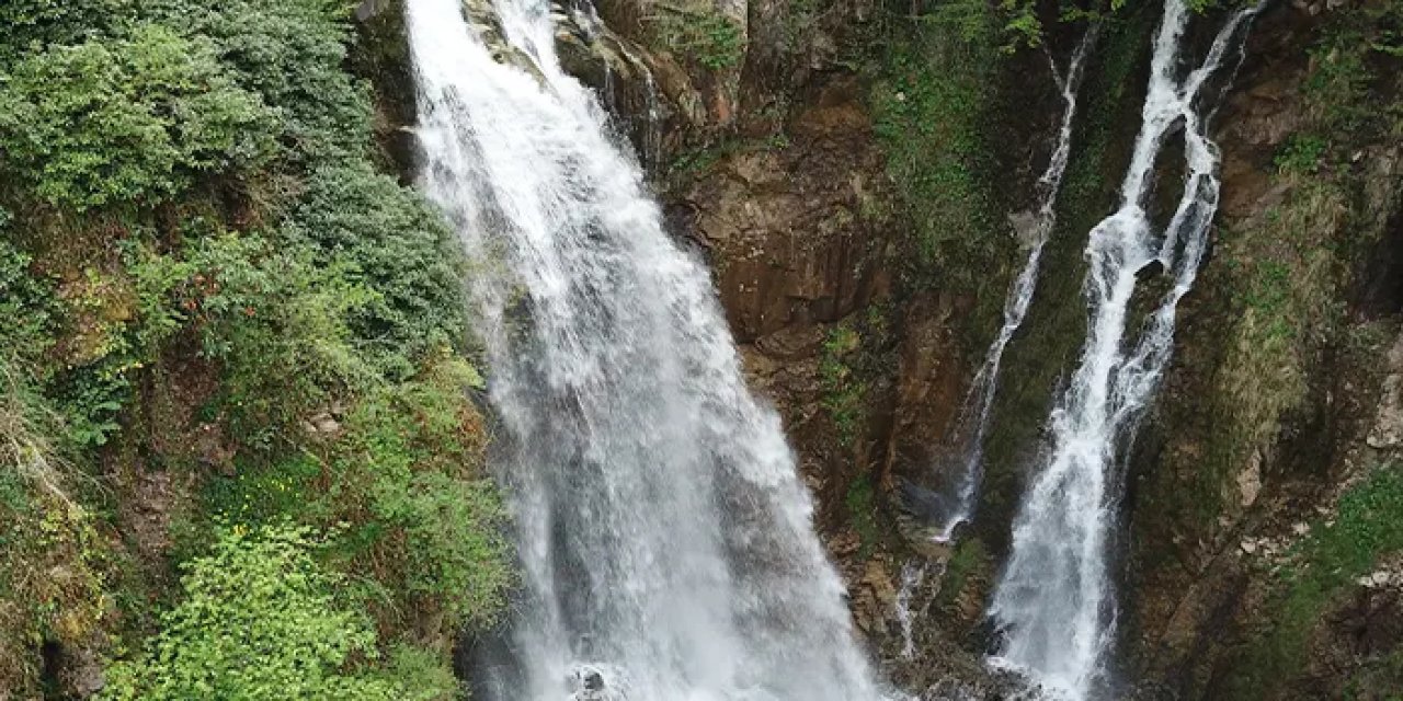 Gümüşhane'de örümcek ormanlarında renk cümbüşü!