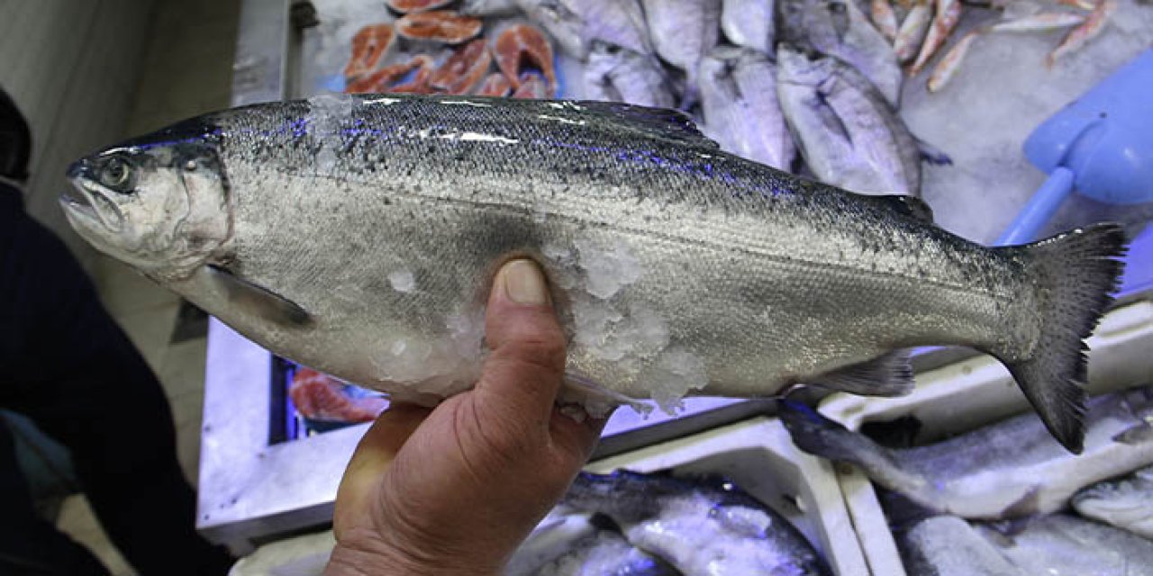 Karadeniz somon üssüne dönüştü! Türkiye somon üretiminde dünyada söz sahibi oldu