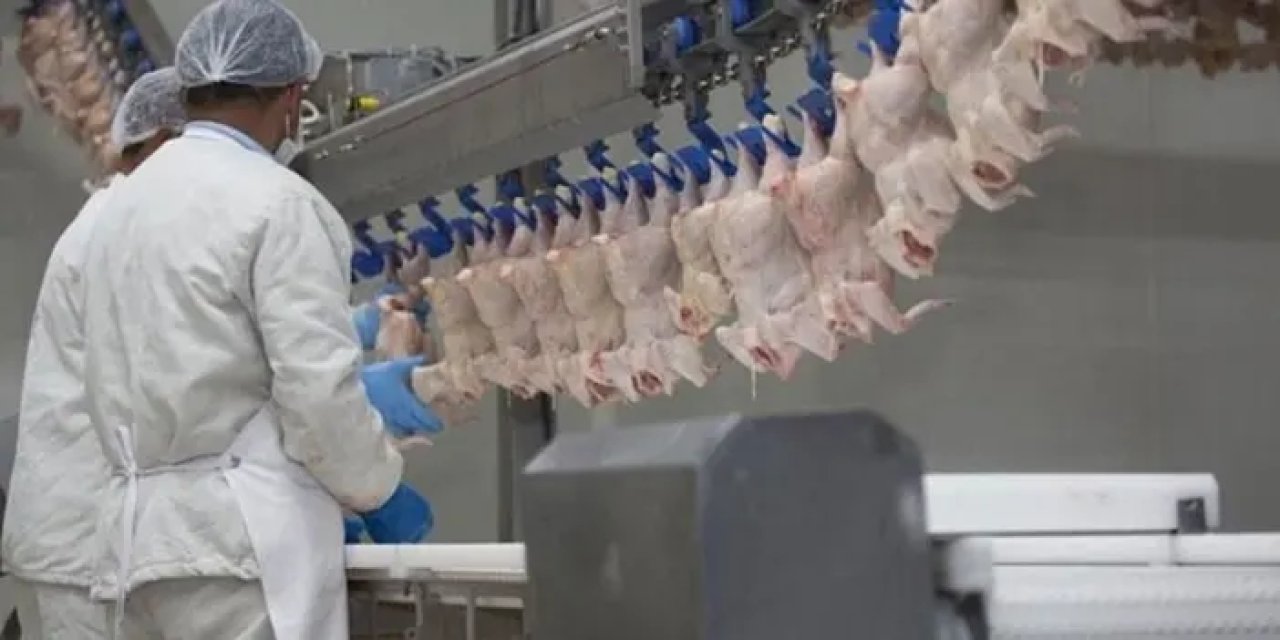 Ticaret Bakanlığı tavuğa ihracat yasağı getirmeye hazırlanıyor