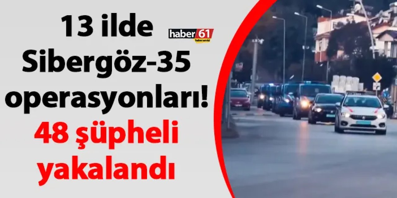 13 ilde Sibergöz-35 operasyonları! 48 şüpheli yakalandı