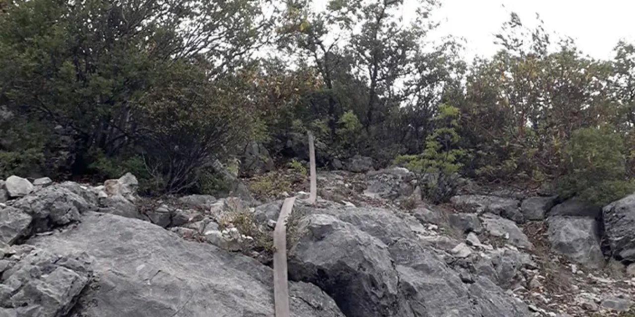 Samsun'da orman yangını! Havadan müdahale edildi