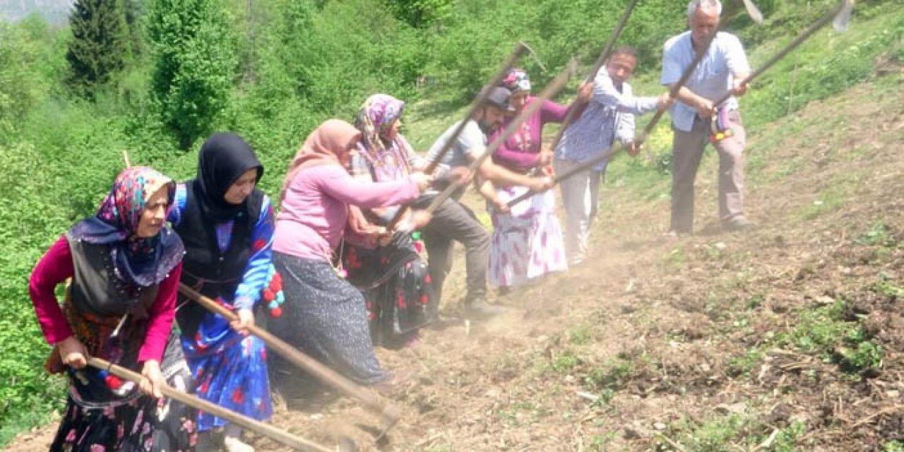 Giresun'da asırlık gelenek yaşatılıyor