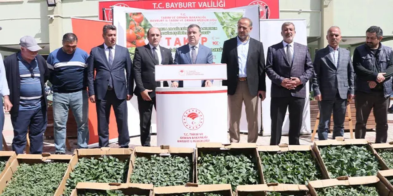 Bayburtlu çiftçilere sebze fidesi dağıtıldı